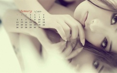 高N车多肉公交车